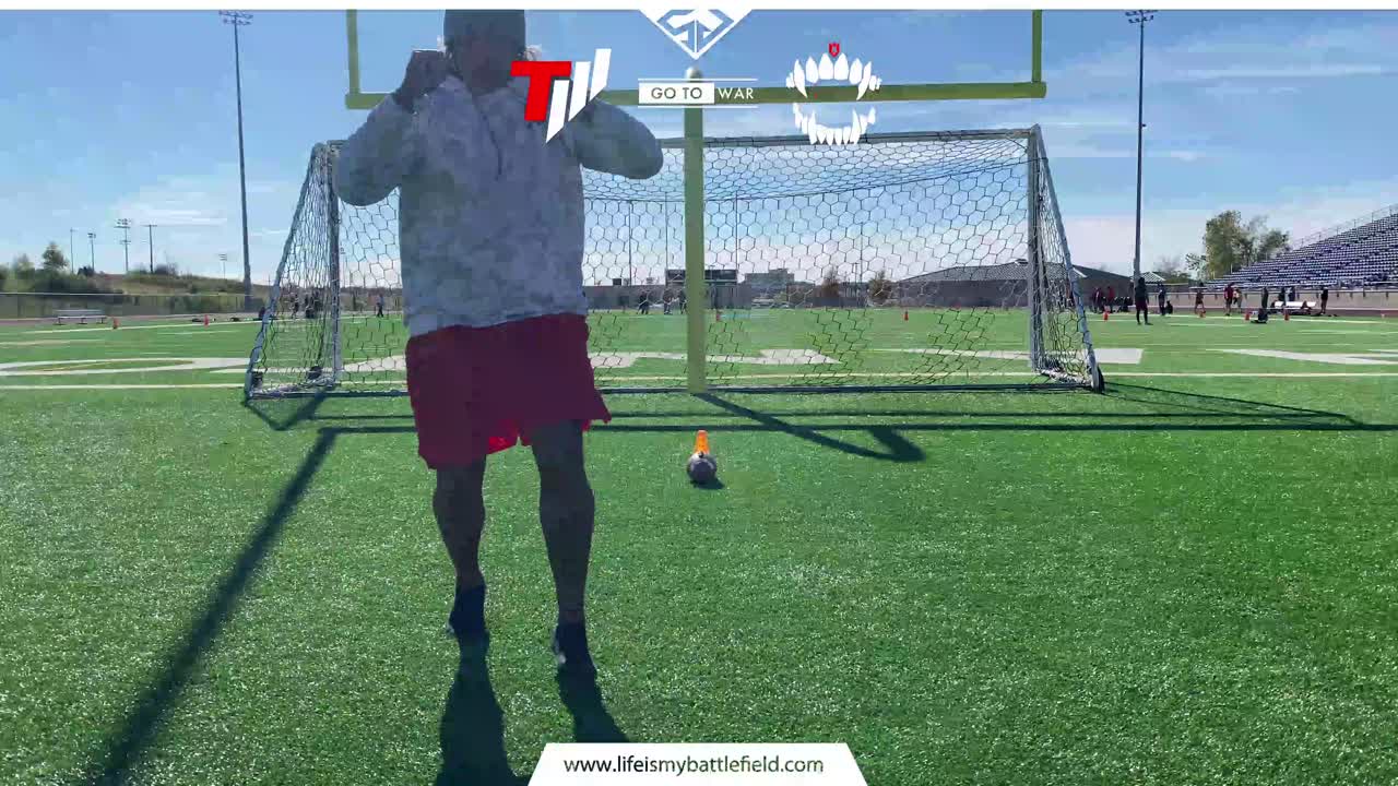 oline_rb_foldr_ls-mp4